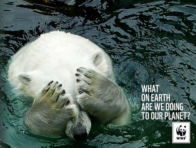 Gelecek insan yapımı olacak 31