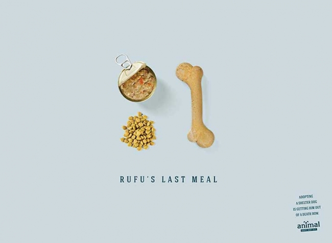 Gelecek insan yapımı olacak 11