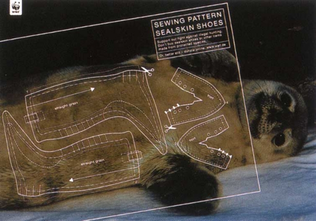 Gelecek insan yapımı olacak 15