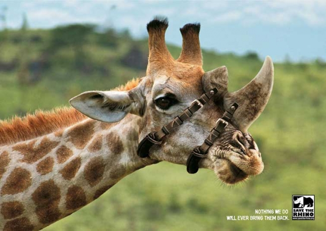 Gelecek insan yapımı olacak 8