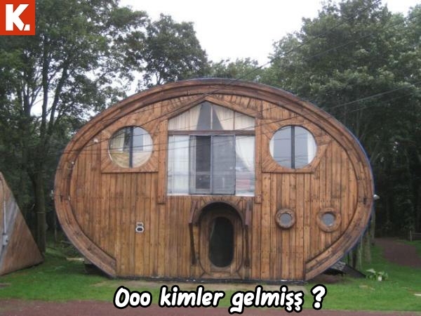 Evladiyelik capsler 5