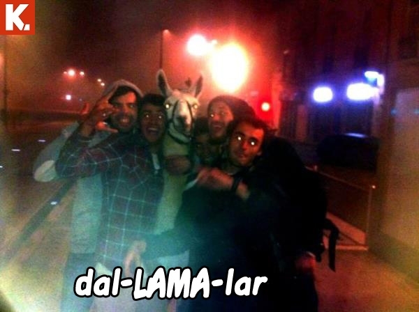 Evladiyelik capsler 14