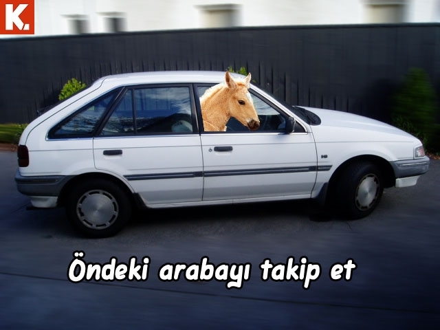 Evladiyelik capsler 18