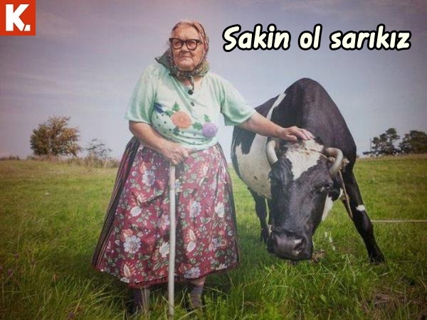 Evladiyelik capsler 20