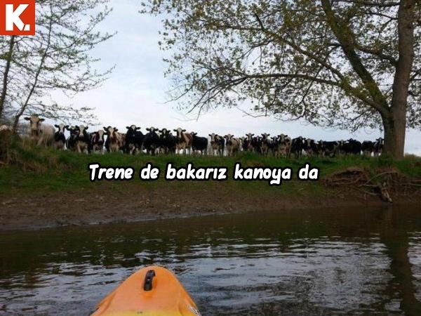 Arşivciler için capsler 2 7