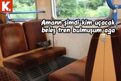 Arşivciler için capsler 2 10