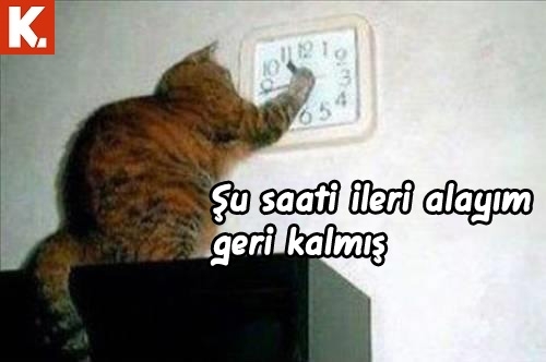 Arşivciler için capsler 2 11