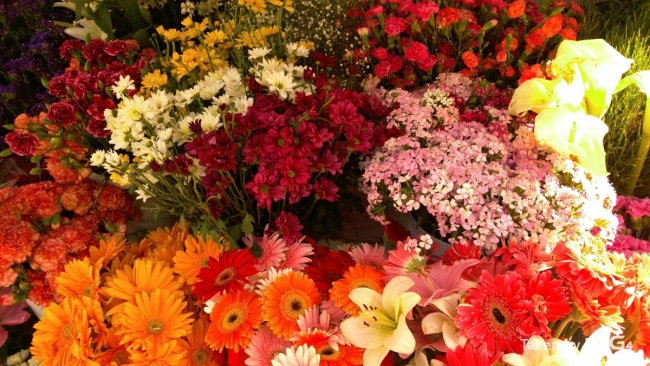 Bu fotoğraflar LG G4 ile çekildi 8