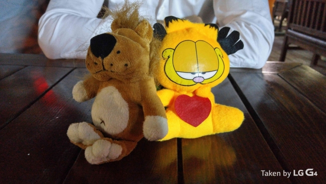 Bu fotoğraflar LG G4 ile çekildi 20