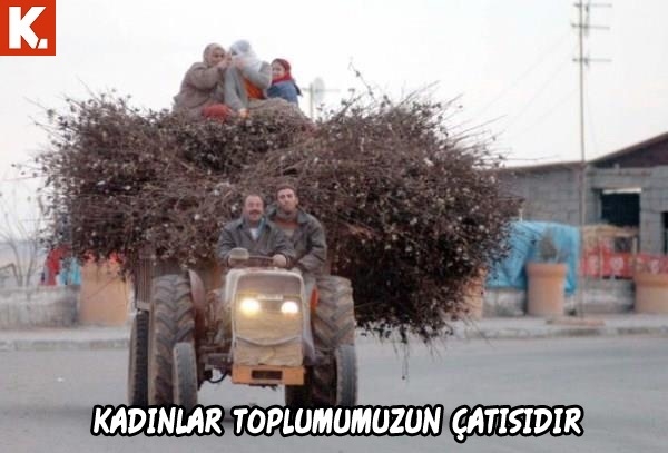 Ortaya karışık eğlenceli capsler 1 16