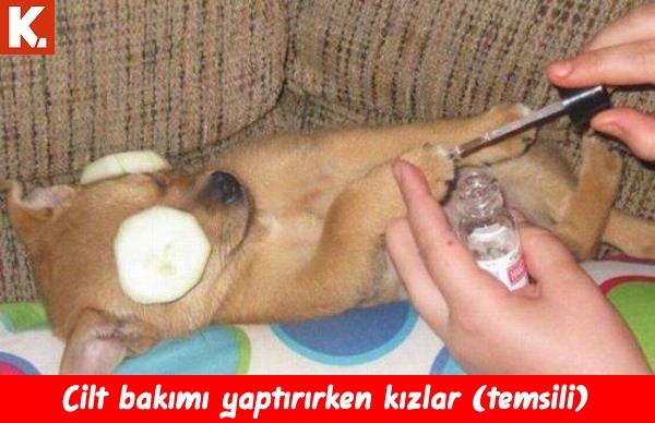 Ortaya karışık eğlenceli capsler 1 19