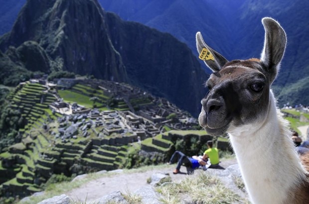 Dünyanın 8. harikası: Gizemli Machu Picchu 17