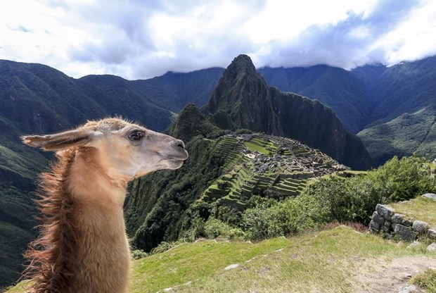 Dünyanın 8. harikası: Gizemli Machu Picchu 13