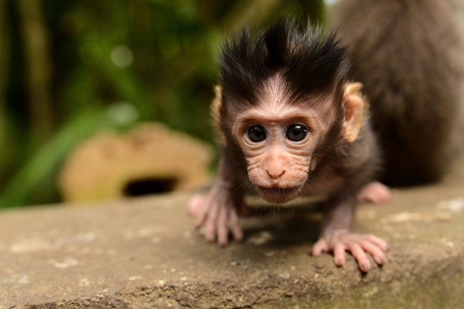 National Geographic Fotoğraf Yarışması başladı 4
