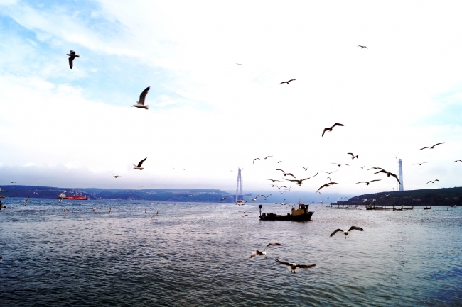 İstanbul'da bir balıkçı köyü: Rumelifeneri 16