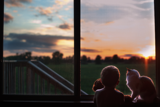 Fotoğrafçı annenin objektifinden 3 çocuk ve 2 kedi 11