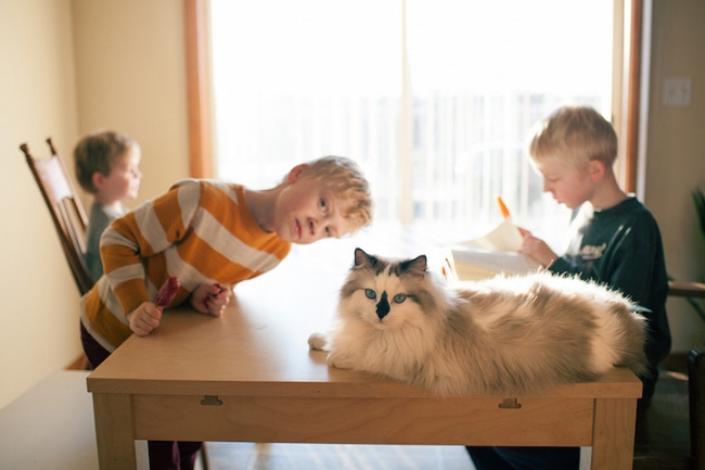 Fotoğrafçı annenin objektifinden 3 çocuk ve 2 kedi 13