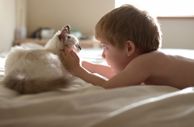 Fotoğrafçı annenin objektifinden 3 çocuk ve 2 kedi 2