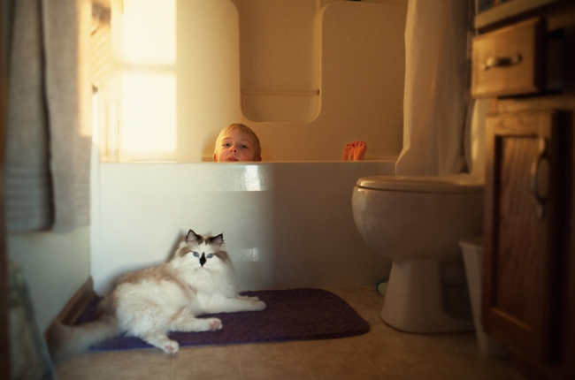 Fotoğrafçı annenin objektifinden 3 çocuk ve 2 kedi 5