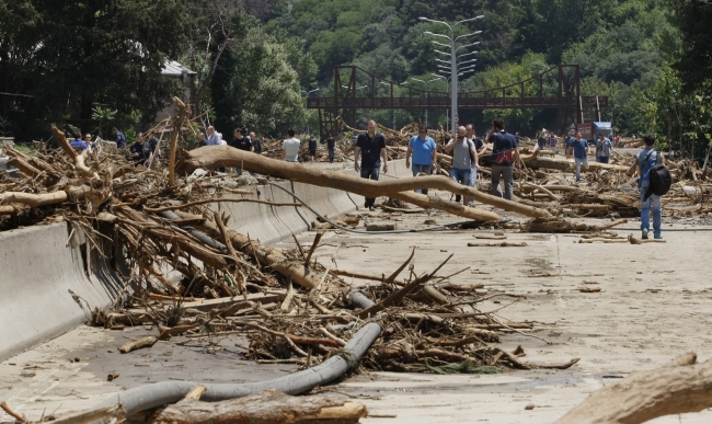 Gürcistan'daki selde vahşi hayvanlar şehri bastı 8