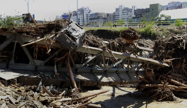 Gürcistan'daki selde vahşi hayvanlar şehri bastı 14