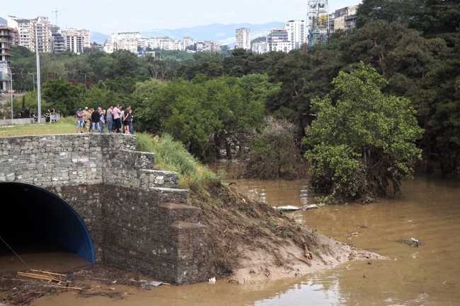 Gürcistan'daki selde vahşi hayvanlar şehri bastı 15