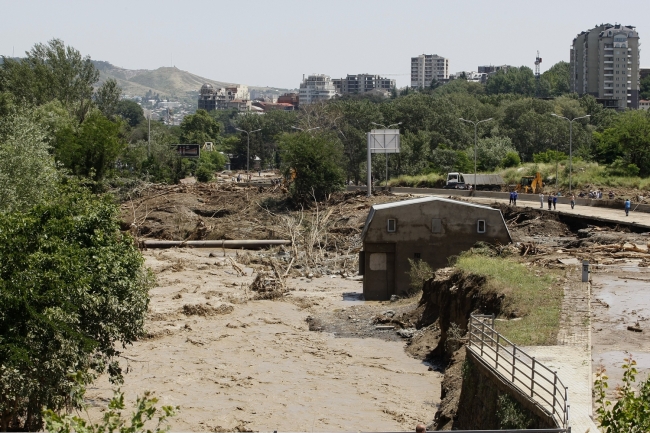 Gürcistan'daki selde vahşi hayvanlar şehri bastı 16