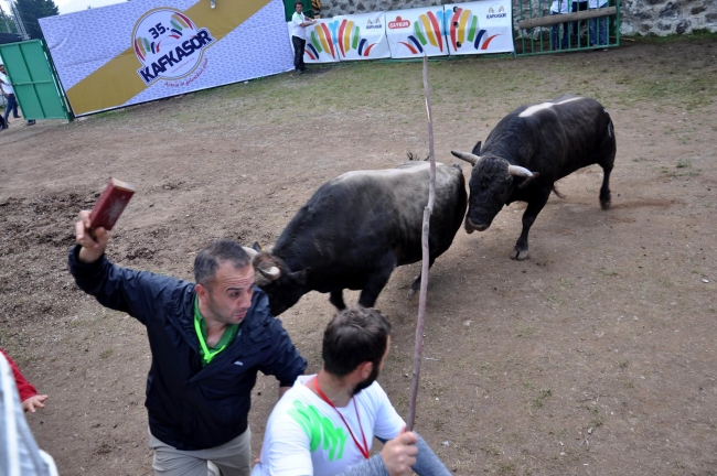 Boğalar arenada, seyirciler tribünde kapıştı 1