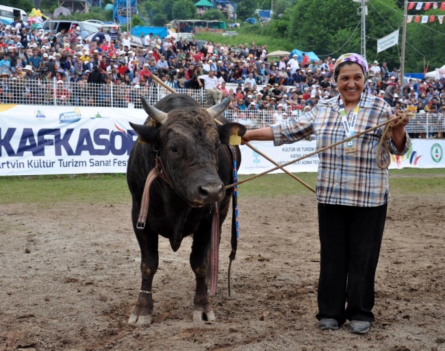 Boğalar arenada, seyirciler tribünde kapıştı 5