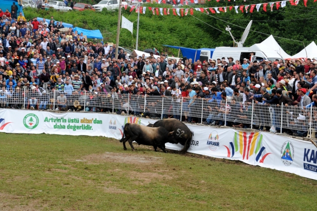Boğalar arenada, seyirciler tribünde kapıştı 7