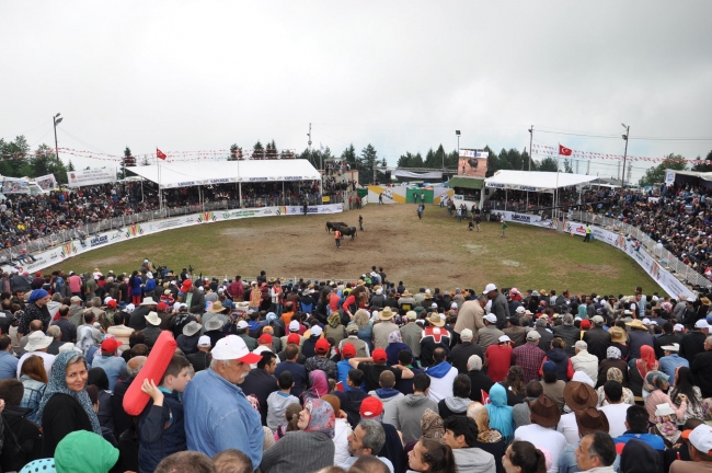 Boğalar arenada, seyirciler tribünde kapıştı 8