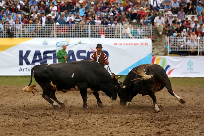 Boğalar arenada, seyirciler tribünde kapıştı 11