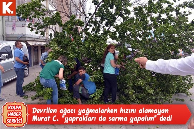 Kolpa haber servisi capsleri 12