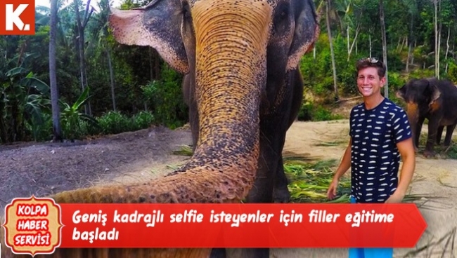 Kolpa haber servisi capsleri 17