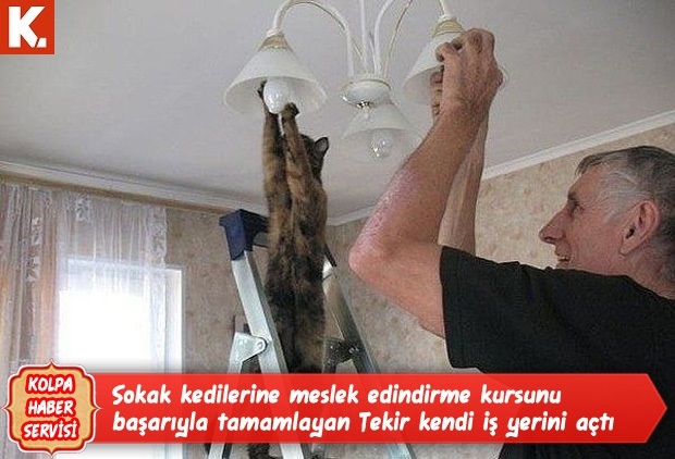 Kolpa haber servisi capsleri 24