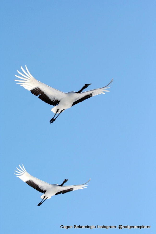 Gözleriyle National Geographic'e girdi 3