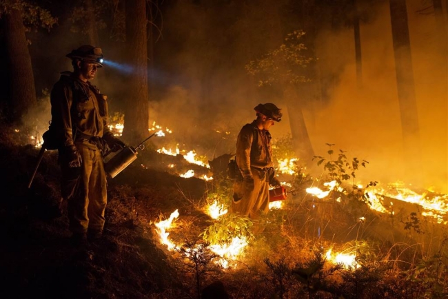 Kaliforniya'da büyük yangın 8
