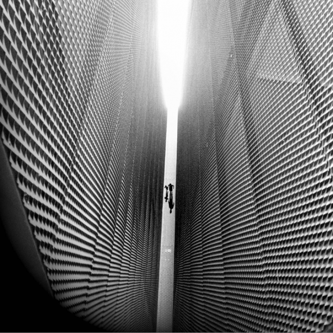 iPhone ile çekilen ödüllü fotoğraflar 9