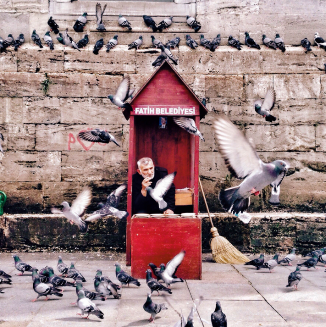 iPhone ile çekilen ödüllü fotoğraflar 5