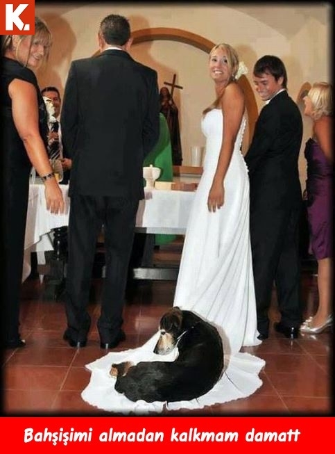 İnsancıl Capsler 6