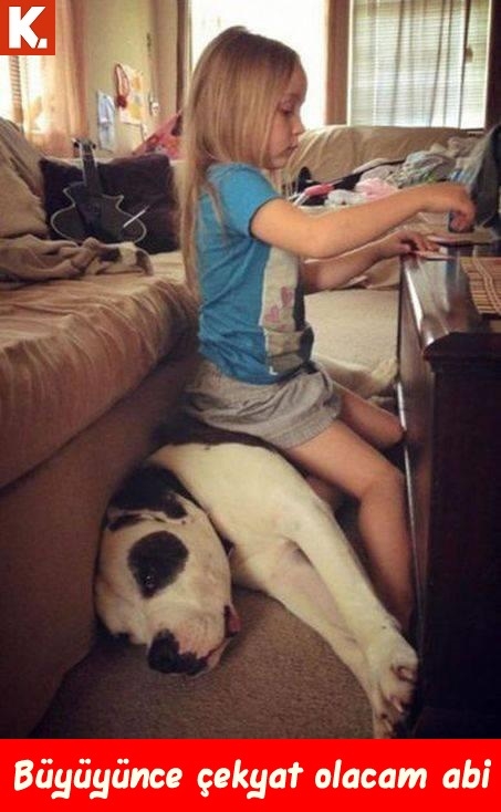 İnsancıl Capsler 8