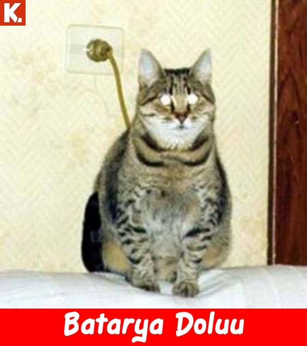 İftar sonrası tadımlık capsler 6