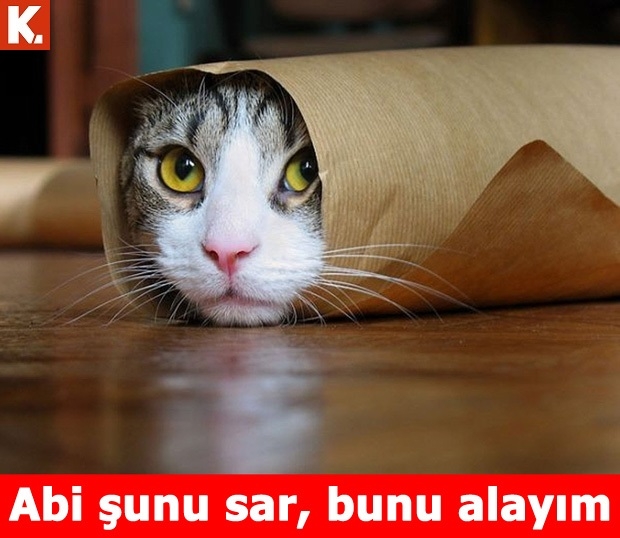 İftar sonrası tadımlık capsler 2