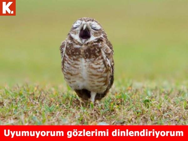 İftar sonrası tadımlık capsler 3