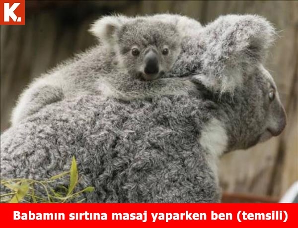 İftar sonrası tadımlık capsler 4