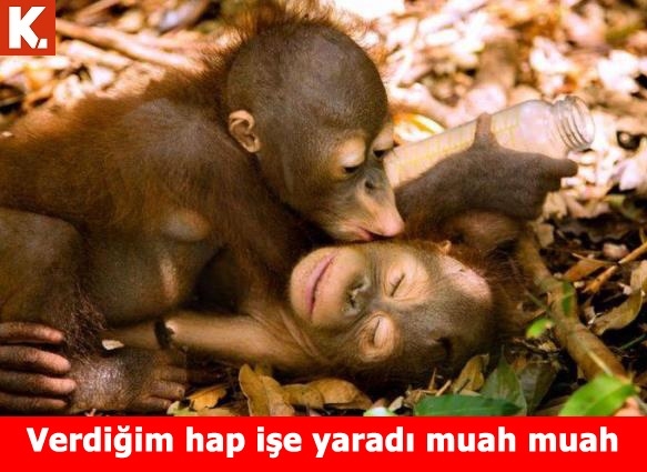 İftar sonrası tadımlık capsler 11