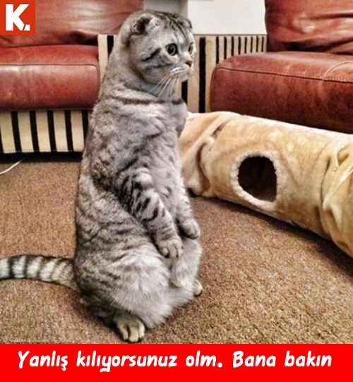 İftar sonrası tadımlık capsler 12