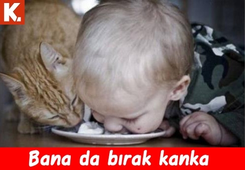 İnsan gerçekten hayret ediyor 2 13