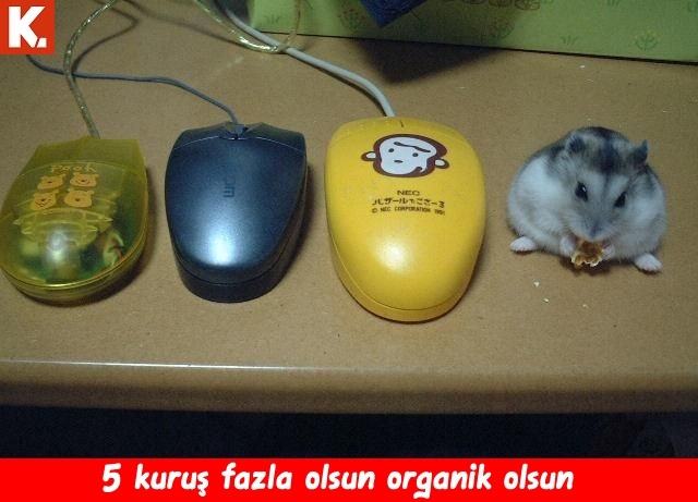 İnsan gerçekten hayret ediyor 2 7