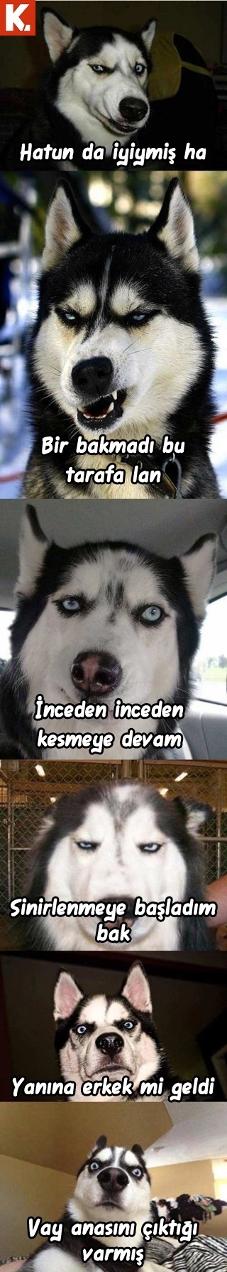 İnsan gerçekten hayret ediyor 2 9